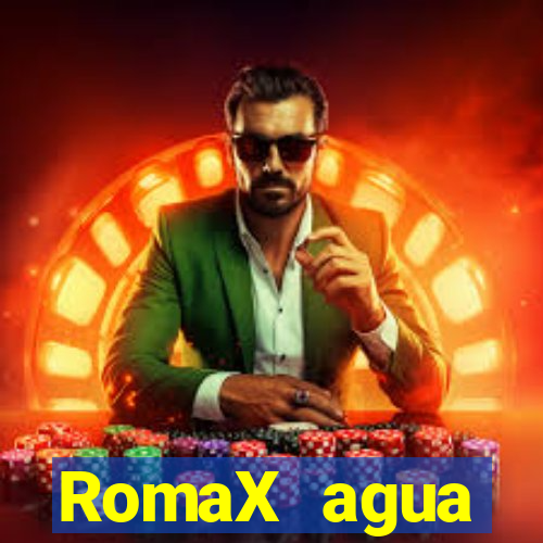 RomaX agua sanitaria fispq agua sanitaria romax